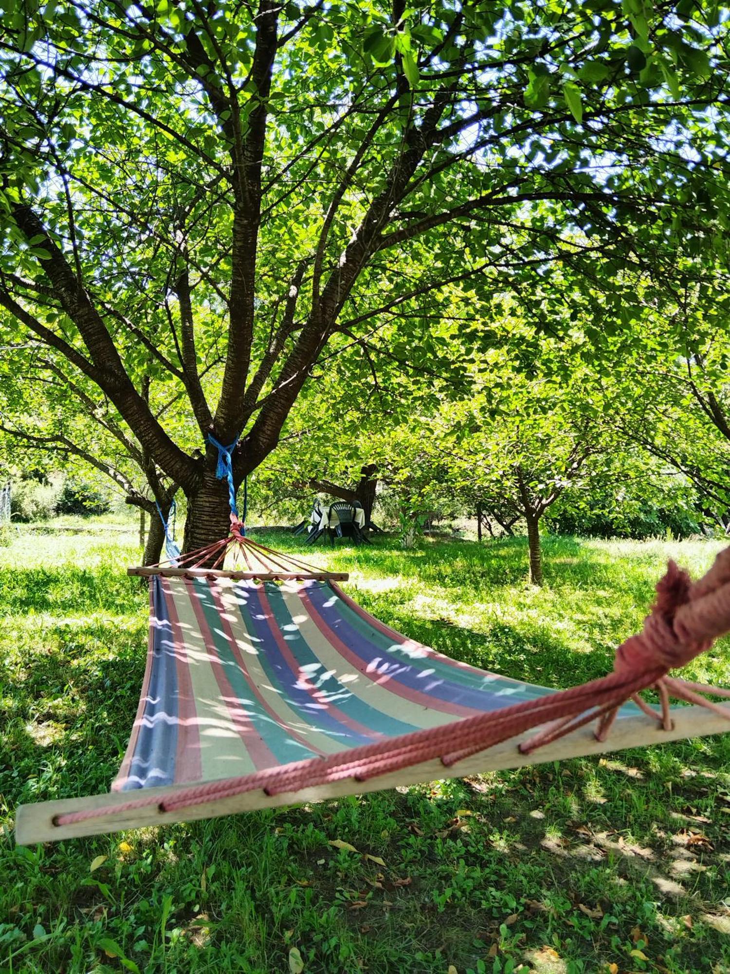 Apartments Pasha Blagaj Pokoj fotografie